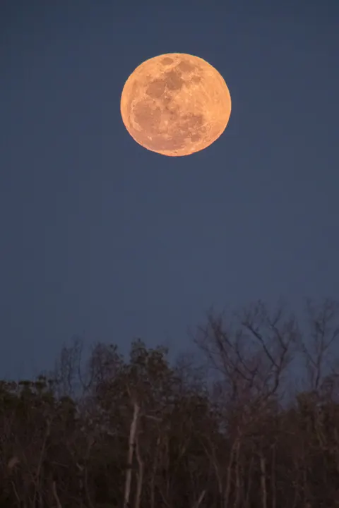 Full Moon Phone Wallpaper · moon · 1440×2160