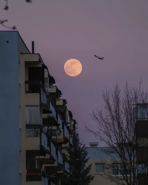 Full Moon Phone Wallpaper · moon · 1440×1800