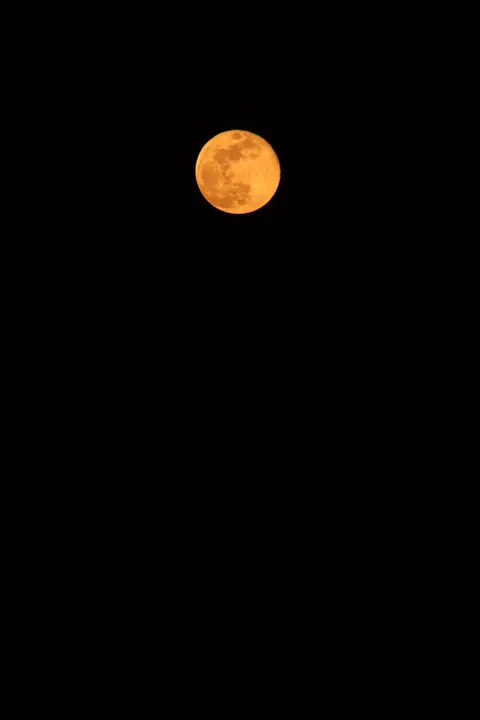 Full Moon Phone Wallpaper · moon · 1440×2160