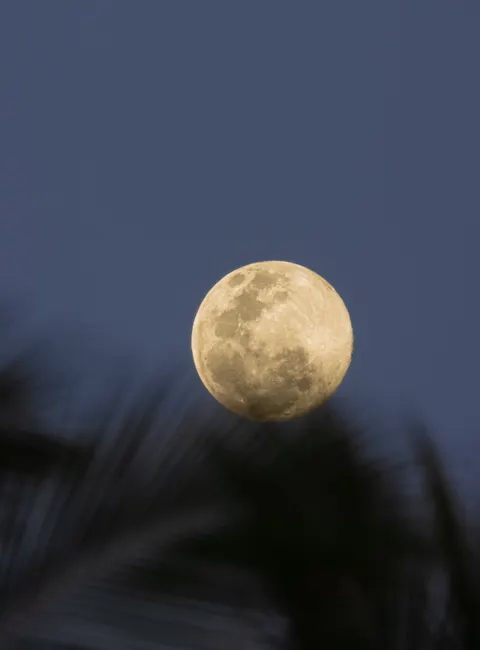 Full Moon Phone Wallpaper · moon · 1440×1949
