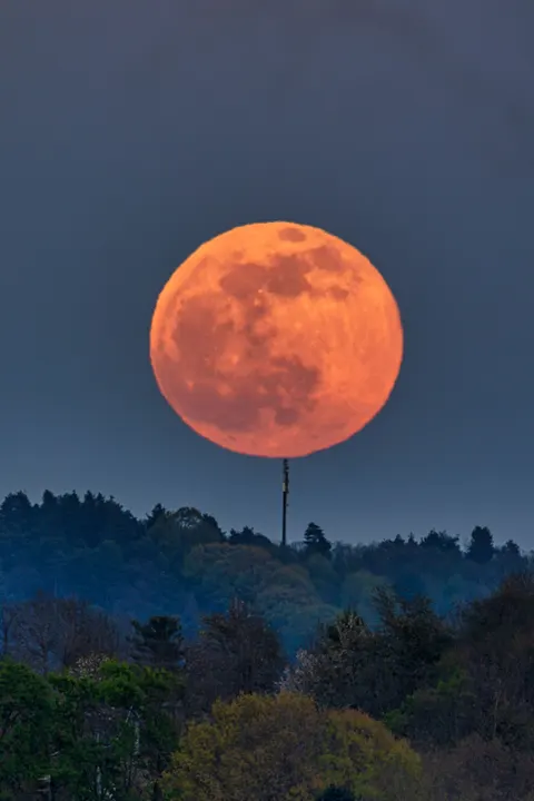 Full Moon Phone Wallpaper · moon · 1440×2160