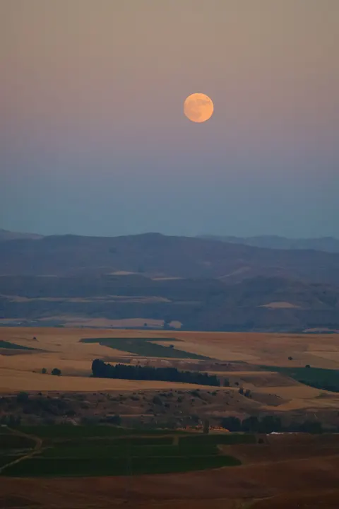 بدر مكتمل خلفية للجوال · moon · 1440×2160