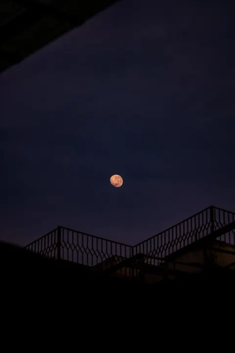 Full Moon Phone Wallpaper · moon · 1440×2160
