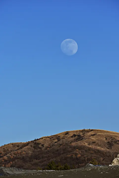 Full Moon Phone Wallpaper · moon · 1440×2160