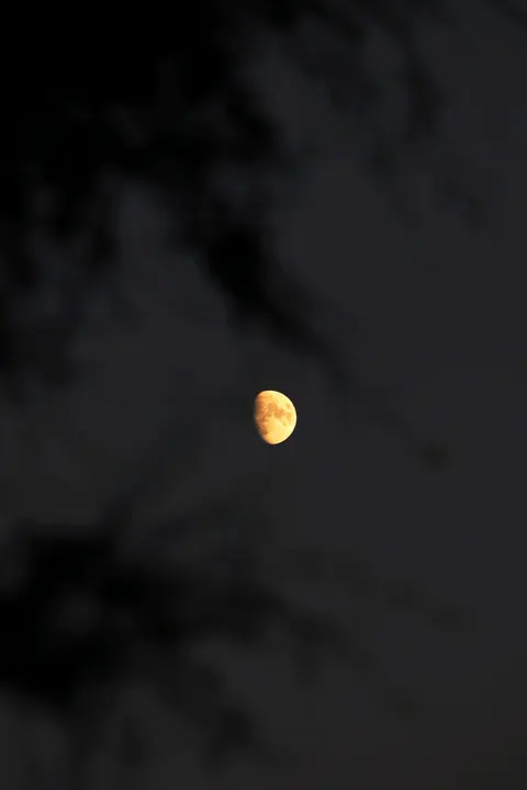 Crescent Moon Phone Wallpaper · moon · 1440×2160