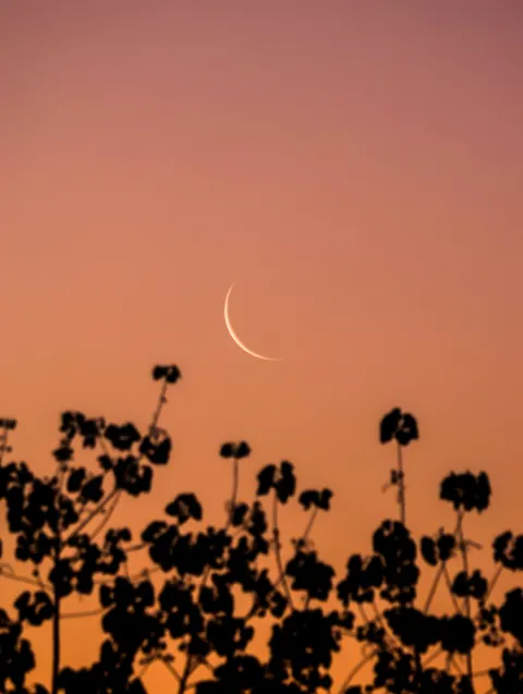 Crescent Moon Phone Wallpaper · moon · 1440×1912