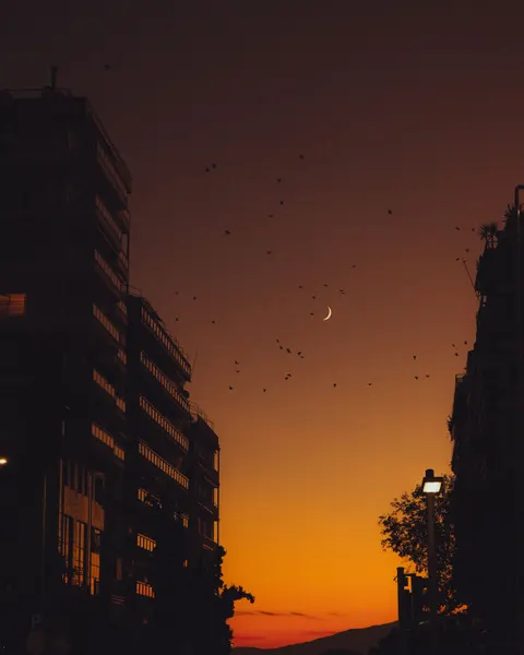 Crescent Moon Phone Wallpaper · moon · 1440×1800