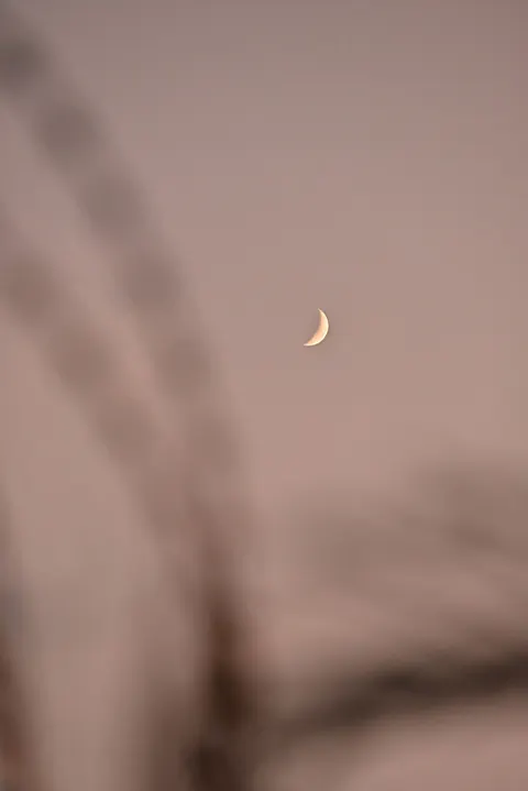 Crescent Moon Phone Wallpaper · moon · 1440×2157