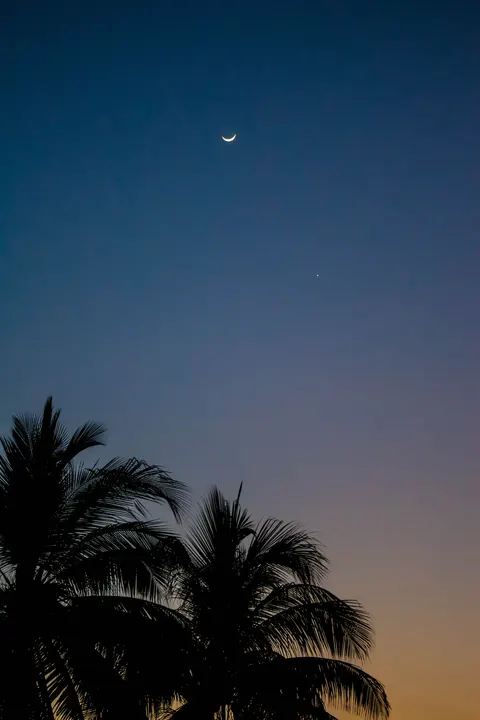 Crescent Moon Phone Wallpaper · moon · 1440×2160