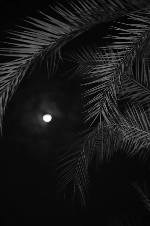 Moon Clouds Phone Wallpaper · moon · 1440×2160