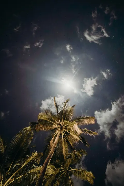 Moon Clouds Phone Wallpaper · moon · 1440×2160