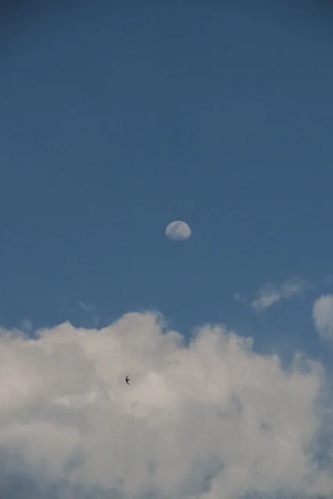 Moon Clouds Phone Wallpaper · moon · 1440×2160