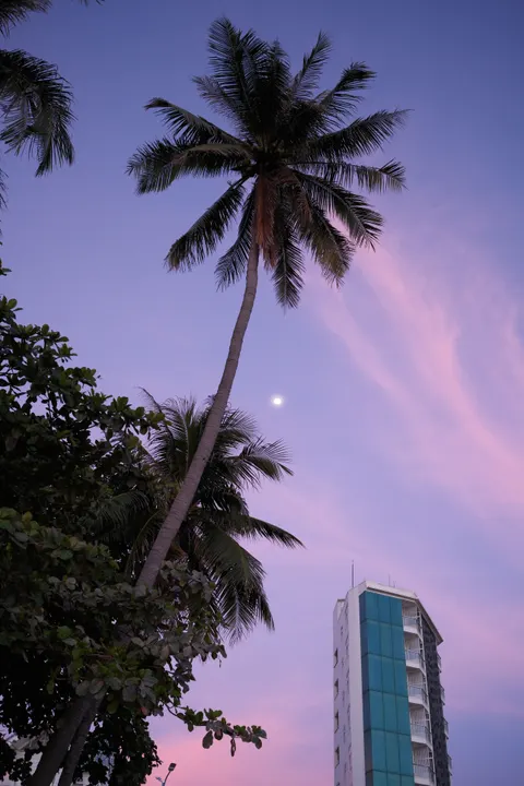 Moon Clouds Phone Wallpaper · moon · 1440×2160