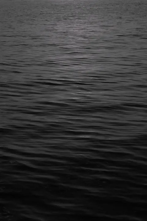 Moonlight Water Phone Wallpaper · moon · 1440×2160