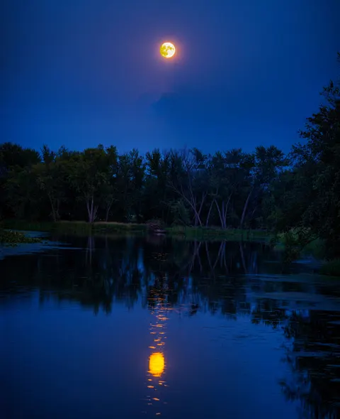 Moonlight Water Phone Wallpaper · moon · 1440×1769