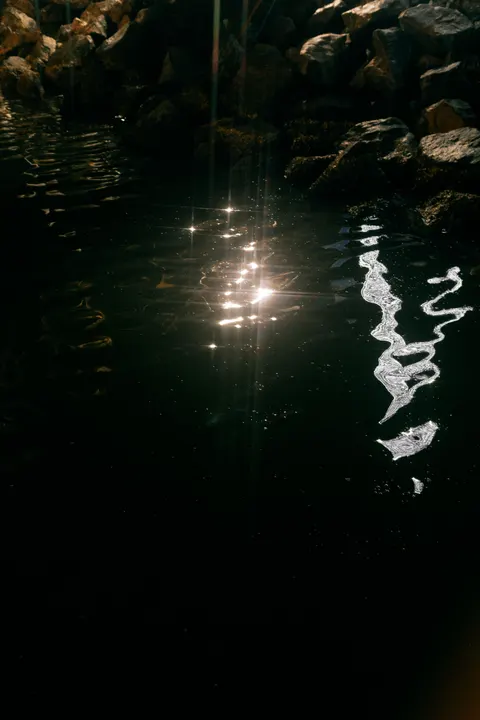Moonlight Water Phone Wallpaper · moon · 1440×2160