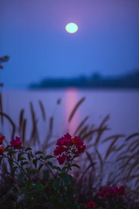 Moonlight Water Phone Wallpaper · moon · 1440×2157