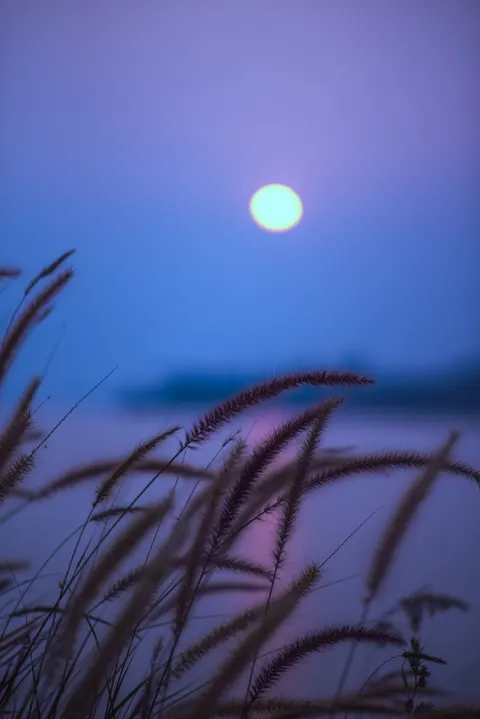 Moonlight Water Phone Wallpaper · moon · 1440×2157