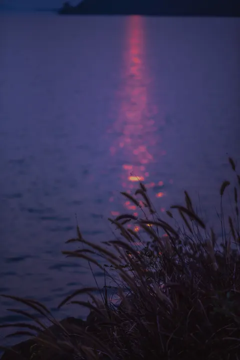 Moonlight Water Phone Wallpaper · moon · 1440×2157