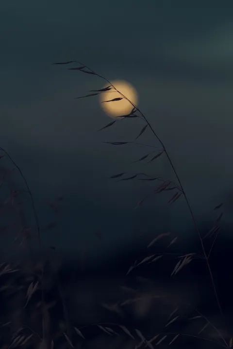 Moon Tree Phone Wallpaper · moon · 1440×2160