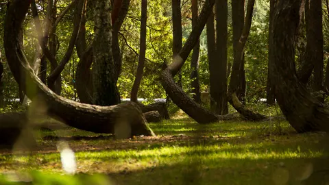 자연 4K 배경화면 · nature · 3840×2160
