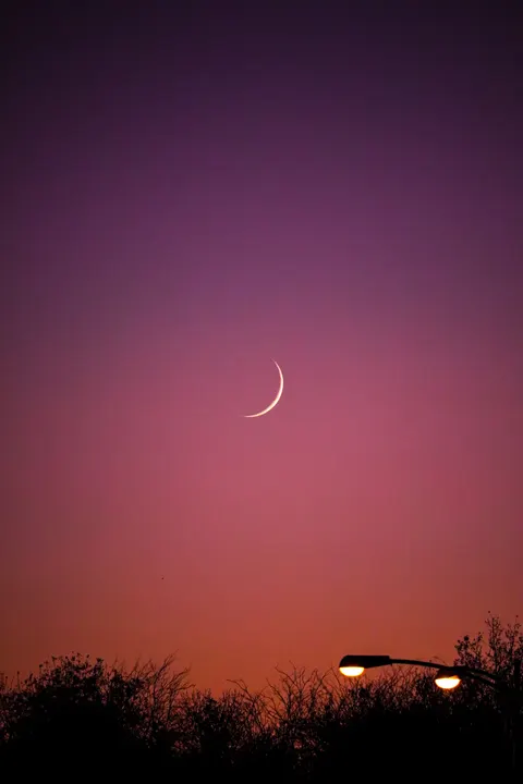 Moon Tree Phone Wallpaper · moon · 1440×2160