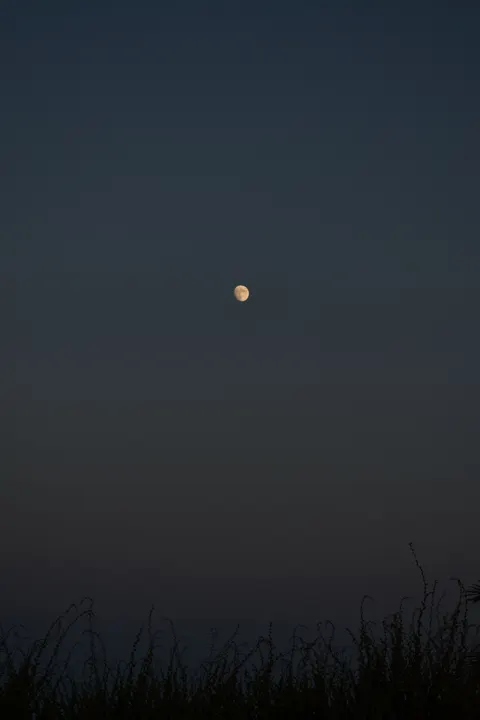 Full Moon Phone Wallpaper · moon · 1440×2160