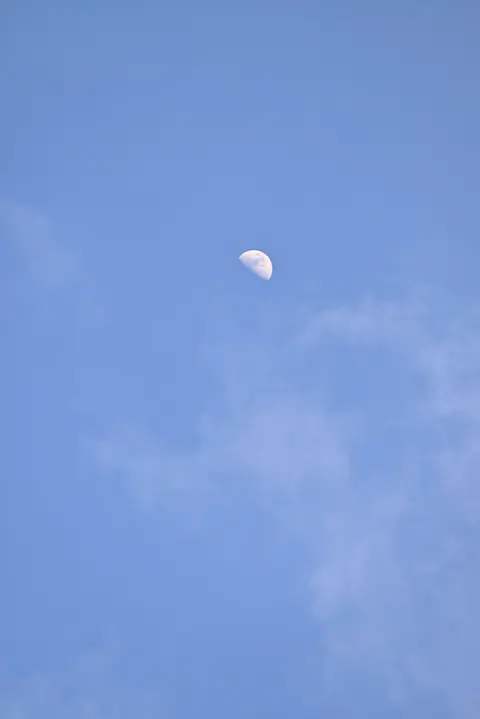 Full Moon Phone Wallpaper · moon · 1440×2157