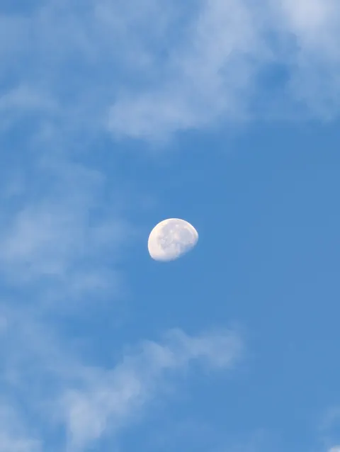 满月 手机壁纸 · moon · 1440×1913