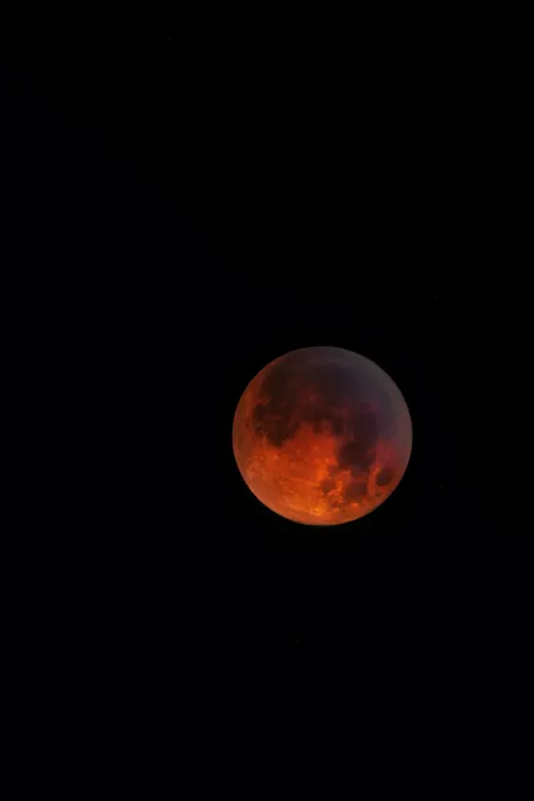 Full Moon Phone Wallpaper · moon · 1440×2160