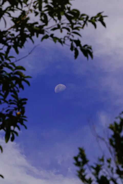 Full Moon Phone Wallpaper · moon · 1440×2160