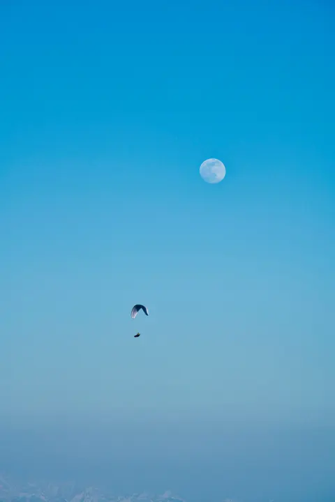 Full Moon Phone Wallpaper · moon · 1440×2159