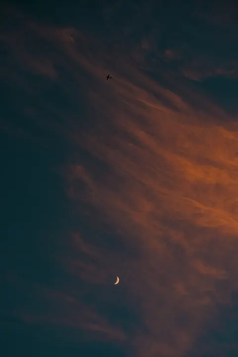 Full Moon Phone Wallpaper · moon · 1440×2160