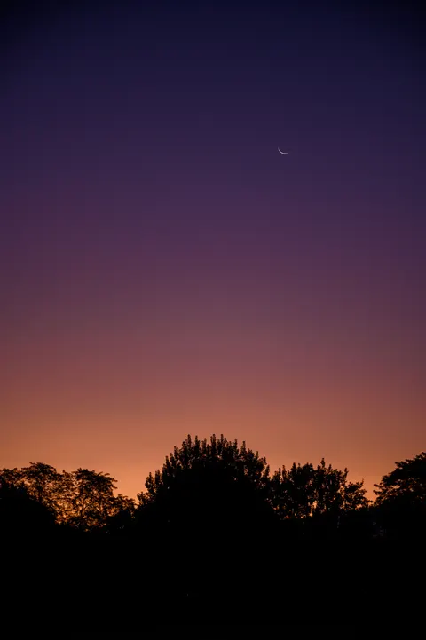 Crescent Moon Phone Wallpaper · moon · 1440×2164