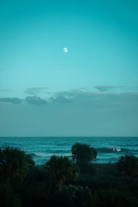 पानी में चाँदनी मोबाइल वॉलपेपर · moon · 1440×2160