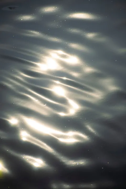 Moonlight Water Phone Wallpaper · moon · 1440×2160
