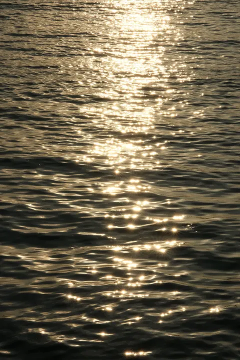 Moonlight Water Phone Wallpaper · moon · 1440×2160