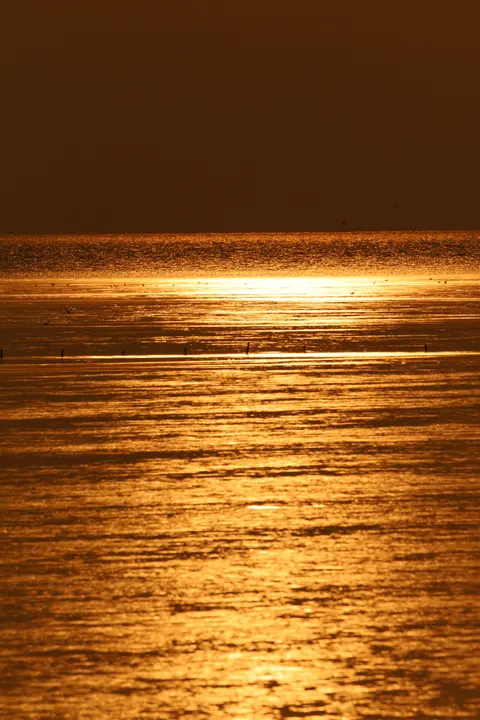 Moonlight Water Phone Wallpaper · moon · 1440×2160