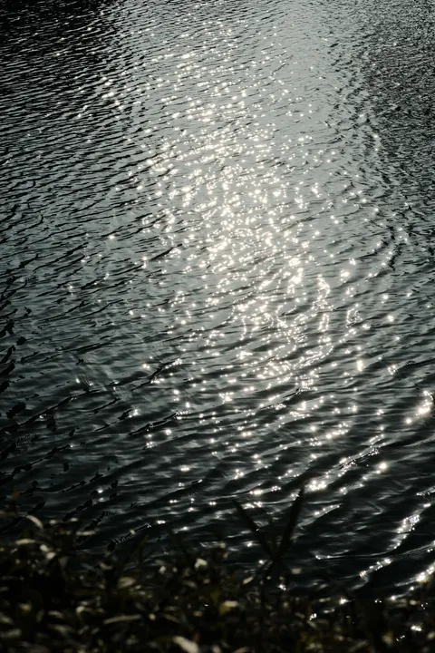 Moonlight Water Phone Wallpaper · moon · 1440×2160
