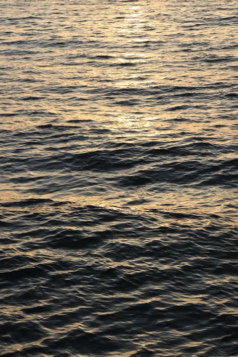 Moonlight Water Phone Wallpaper · moon · 1440×2160
