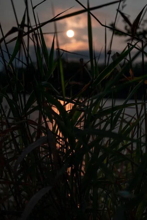 Moonlight Water Phone Wallpaper · moon · 1440×2157