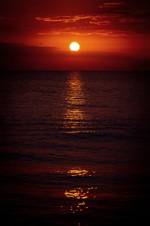 Moonlight Water Phone Wallpaper · moon · 1440×2166