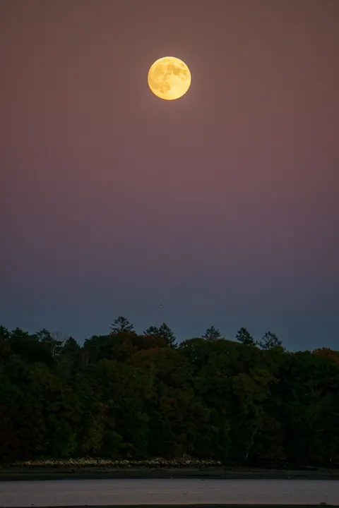 Moonlight Water Phone Wallpaper · moon · 1440×2160