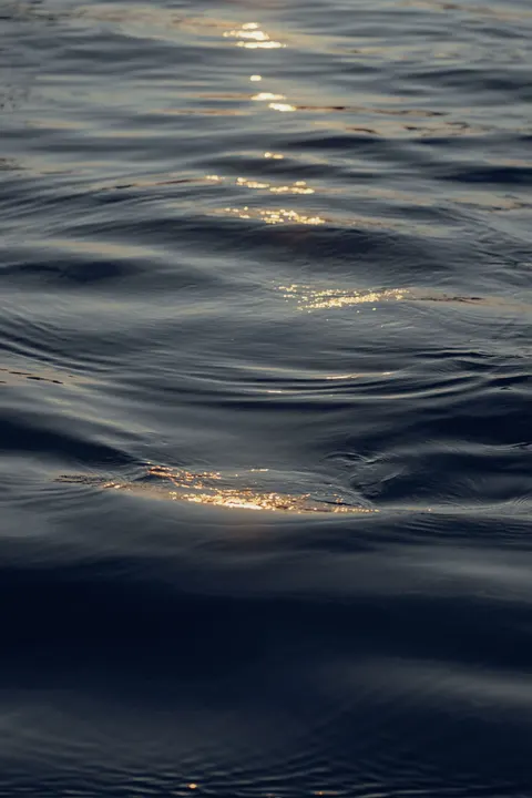 Moonlight Water Phone Wallpaper · moon · 1440×2160