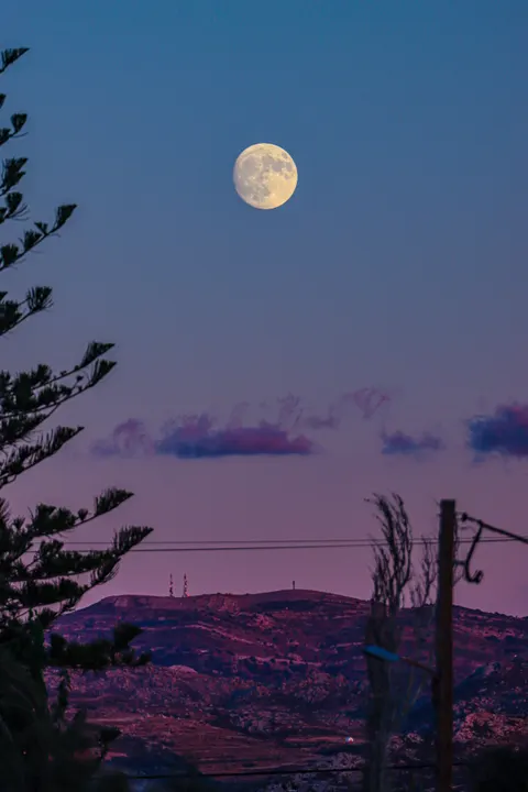 Moon Tree Phone Wallpaper · moon · 1440×2160