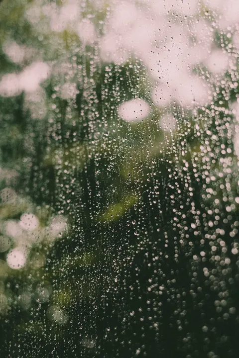 Rain Window Phone Wallpaper · rain · 1440×2160