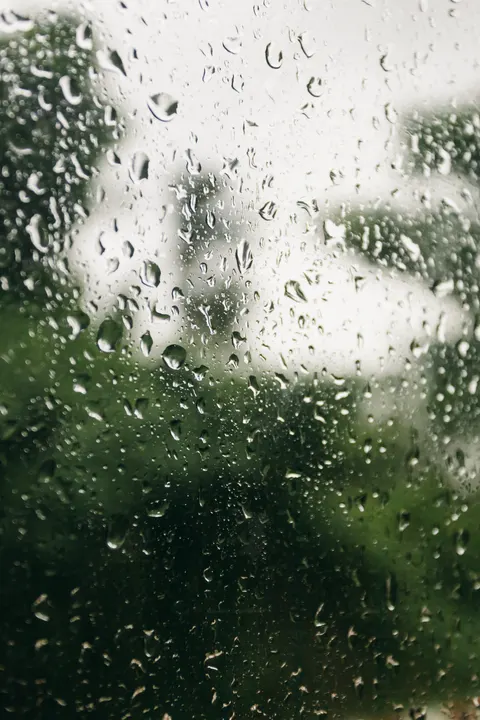 Rain Window Phone Wallpaper · rain · 1440×2160