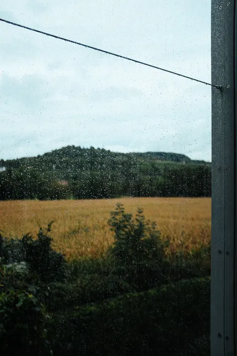 Rain Window Phone Wallpaper · rain · 1440×2160