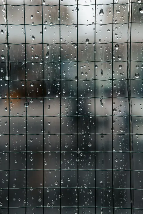 Rain Window Phone Wallpaper · rain · 1440×2160