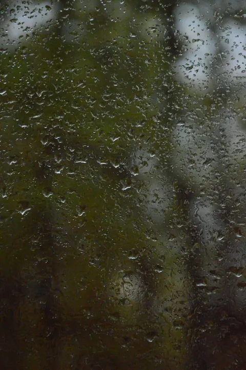 Rain Window Phone Wallpaper · rain · 1440×2166